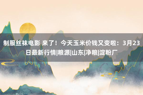 制服丝袜电影 来了！今天玉米价钱又变啦：3月23日最新行情|粮源|山东|净粮|淀粉厂