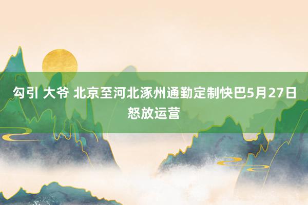勾引 大爷 北京至河北涿州通勤定制快巴5月27日怒放运营