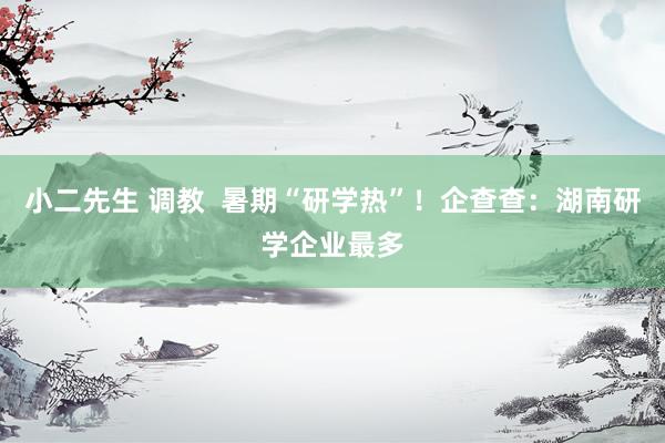 小二先生 调教  暑期“研学热”！企查查：湖南研学企业最多