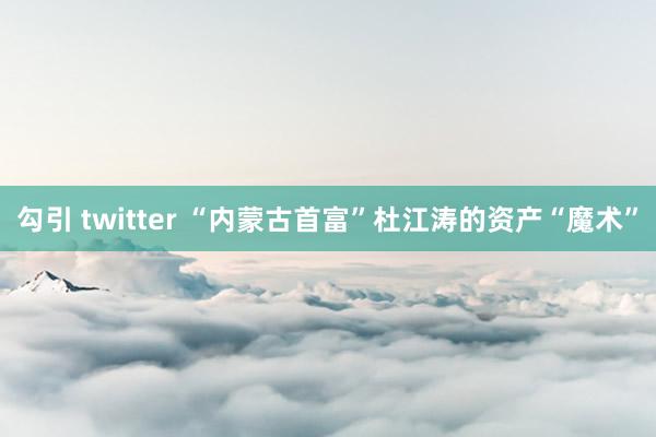 勾引 twitter “内蒙古首富”杜江涛的资产“魔术”