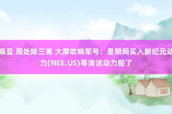 麻豆 周处除三害 大摩吹响军号：是期间买入新纪元动力(NEE.US)等清洁动力股了