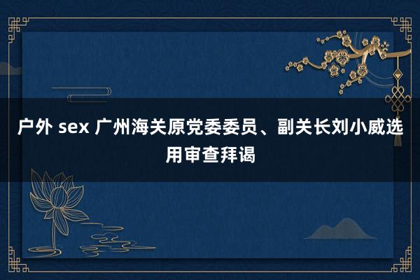 户外 sex 广州海关原党委委员、副关长刘小威选用审查拜谒