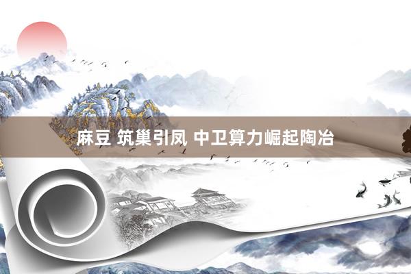 麻豆 筑巢引凤 中卫算力崛起陶冶